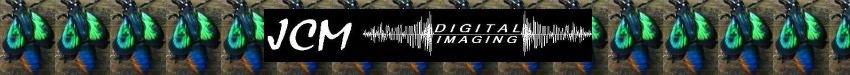 JCM Digital Imaging, based in Santa Clarita, California, since 1992