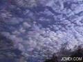 Technician: Bio time lapse clouds music video Cat.#V00367a, 720x480 Indeo 5.x(.AVI), 235 sec. at 30fps 
