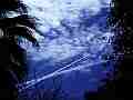 New jet trail crosses old one through trees � digitally upscaled timelapse scene from Stitching the Sky Cat.#V00378x, 1280x720 Motion JPEG (.AVI), 2 sec. at 30fps 