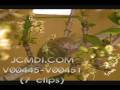 Time Lapse silk moth caterpillar spins cocoon Cat.#V00445-V00451, 720x480 WMP v9 (VC-1 Simple/Main) (.WMV), 55 sec. at 30fps 