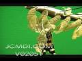 Time Lapse Painted Lady Butterfly emerging Cat.#V02051, 720x480 Motion JPEG (.AVI), 12 sec. at 30fps 