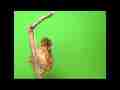 Hyalophora euryalus moth emerging green screen realtime  Cat.#V02060, 720x480 VC-1 Adv (Windows Media v11) .WMV, 46 sec. at 30fps 