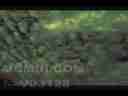Catalog#:V03128 License:$64.00, Format:720x480 Motion JPEG(.AVI) at 30fps, Length: approx.11 sec. Multi-layer high clouds drifting time lapse