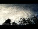 Catalog#:V03298 License:$110.00, Format:1920x1080 Motion JPEG(.AVI) at 30fps, Length: approx.17 sec. Interesting wavy stratus timelapse