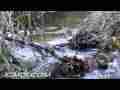 Mountain Stream Natural Relaxation Cat.#V03608, 1280x720 Windows Media .WMV, 301 sec. at 30fps 