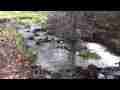 Bouquet Canyon pools and falls HD Cat.#V03887, 1920x1080 H.264 AVCHD (.MTS), 49 sec. at 30fps 