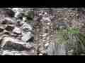 Placerita waterfalls slow pan down wall to pool HD Cat.#V04048, 1920x1080 H.264 AVCHD (.MTS), 64 sec. at 30fps 
