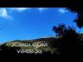 Bouquet cumulus cloud shadows on mountainside (Caterpillar on lens!) Cat.#V04363a, 1920x1080 Motion JPEG (.AVI), 39 sec. at 30fps 