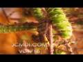 Timelapse Silk moth spins cocoon in crowded condition Cat.#V04716, 1920x1080 Motion JPEG (.AVI), 11 sec. at 30fps 