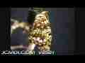Gabb's Checkerspot Butterfly (Chlosyne gabbii) flexing wings timelapse Cat.#V05018, 1440x1080 Motion JPEG (.AVI), 13 sec. at 30fps 