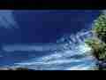 Time lapse high clouds and multiple old jet trails Cat.#V05887, 1920x1080 Motion JPEG (.AVI), 11 sec. at 30fps 