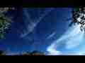 Catalog#:V05891 License:$124.00, Format:1920x1080 Motion JPEG(.AVI) at 30fps, Length: approx.26 sec. Time lapse high clouds (with bird!)