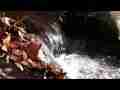 Small Bouquet Canyon waterfall (front) (realtime) Cat.#V07029, 1920x1080 H.264 AVCHD (.MTS), 28 sec. at 30fps 