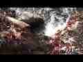 Small Bouquet Cyn waterfall pan downstream (realtime) Cat.#V07034, 1920x1080 H.264 AVCHD (.MTS), 23 sec. at 30fps 