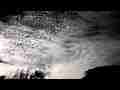 Catalog#:V07099 License:$65.00, Format:1920x1080 Motion JPEG(.AVI) at 30fps, Length: approx.8 sec. Very high cirrus passing behind trees time lapse