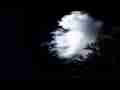 Small cumulus cloud forming over tree time lapse (2) Cat.#V07288, 1920x1080 Motion JPEG (.AVI), 12 sec. at 30fps 