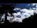 Beautiful cumulus cloud forming/passing behind trees timelapse HD Cat.#V07396, 1920x1080 Motion JPEG (.AVI), 7 sec. at 30fps 