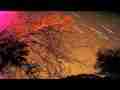 Super cool star trails/cirrus in bare trees HD timelapse Cat.#V07424a, 1920x1080 Motion JPEG(.AVI), 69 sec. at 30fps 