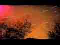 Time lapse stars rotate over bare trees (Commposited) HD V07425a Cat.#V07425a, 1920x1080 Motion JPEG(.AVI), 67 sec. at 30fps 