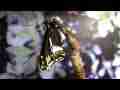 Swallowtail Butterfly expands wings (long, realtime HD) V07644 Cat.#V07644, 1920x1080 H.264 AVCHD (.MTS), 121 sec. at 30fps 
