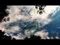 Catalog#:V07909 License:$100.00, Format:1920x1080 Motion JPEG(.AVI) at 30fps, Length: approx.15 sec. Great multi-layer cirrus forming overhead HD timelapse