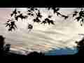 Catalog#:V07910 License:$85.00, Format:1920x1080 Motion JPEG(.AVI) at 30fps, Length: approx.12 sec. Interesting stratus 'ripples' HD timelapse