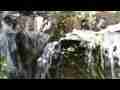 LA Zoo Aviary Waterfall Raw Stock Footage 2 ease out Cat.#V08302, 1920x1080 H.264/AVCHD (.MTS), 40 sec. at 30fps 