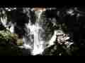 LA Zoo Aviary Waterfall Raw Stock Footage 4 Cat.#V08342, 1920x1080 H.264/AVCHD (.MTS), 26 sec. at 30fps 