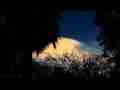 Catalog#:V08793 License:$115.00, Format:1920x1080 Motion JPEG(.AVI) at 30fps, Length: approx.18 sec. Semi-hidden lenticular forming behind trees sunset timelapse