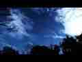 Catalog#:V08899 License:$171.00, Format:1920x1080 Motion JPEG(.AVI) at 30fps, Length: approx.52 sec. Long-running cirrus forming over trees timelapse Canon 5DMk2