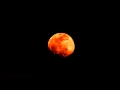 Canon SX10 zoomed moonrise timelapse with some clouds passing Cat.#V08914, 1920x1080 Motion JPEG(.AVI), 9 sec. at 30fps 