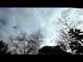 Slow alto-cumulus clouds passing through overhead trees timelapse Cat.#V08921, 1920x1080 Motion JPEG (.AVI), 11 sec. at 30fps 