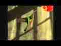 Nice slow motion hummingbird fem allens feed top-back view 300fps (entire raw clip) Cat.#V09086, 512x384 H.264/AVC1 (.MOV), 66 sec. at 30fps 