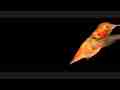 Allen's Hummingbird male at feeder 600fps slow motion (entire raw clip) Cat.#V09159, 432x192 H.264/AVC1 (.MOV), 46 sec. at 30fps 