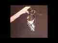 Ford's Indra Swallowtail Butterfly expanding wings time lapse Cat.#V09302, 1920x1080p Motion JPEG (.AVI), 24 sec. at 30fps 