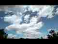 Cumulus cloud forming over trees in blue sky timelapse Cat.#V09309, 1920x1080 Motion JPEG (.AVI), 51 sec. at 30fps 