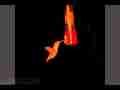 Slow motion hummingbird feeding halogen light test (1/2) 300fps Cat.#V09363, 512x384 H.264/AVC1 (.MOV), 26 sec. at 30fps 
