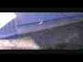 Nice slow-motion helicopter-like flying termite 600fps (complete raw footage) Cat.#V09372, 432x192 H.264/AVC1 (.MOV), 57 sec. at 30fps 