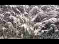 Devil's Punchbowl panorama zoomed camera slow pan left realtime Cat.#V09431, 1920x1080 H.264/AVC1 (.MOV), 52 sec. at 30fps 