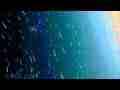 Composited star trails timelapse (sky only) Cat.#V09619h, 1920x1080 Motion JPEG(.AVI), 17 sec. at 30fps 