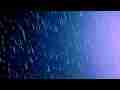 Star fall timelapse sky rotation (sky only) Composited Trails Cat.#V09620e, 1920x1080 Motion JPEG(.AVI), 26 sec. at 30fps 