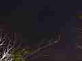 Hi-res star rotation Timelapse Cat.#V09855a, 1920x1080 Motion JPEG(.AVI), 23 sec. at 30fps 