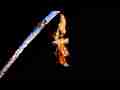 Hi-Res Gulf Fritillary Butterfly emerging timelapse Cat.#V09877, 1920x1080p Motion JPEG (.AVI), 37 sec. at 30fps 