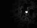 Dark scary moon through clouds timelapse (black and white) Cat.#V10022, 1920x1080 Motion JPEG(.AVI), 8 sec. at 30fps 