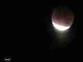 SX10 Lunar Eclipse 4 Crescent Crop-Scale-Pan hazy-cloudy timelapse Cat.#V10500, 1920x1080 Motion JPEG(.AVI), 11 sec. at 30fps 
