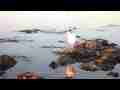 Malibu Tide Pools Closeup Egret Eating Fish (realtime handheld) Cat.#V10649, 1920x1080 H.264/AVC1 (.MOV), 46 sec. at 30fps 