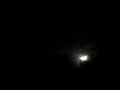 Half moon setting through trees in timelapse (Canon 300HS) Cat.#V10701, 1920x1080 Motion JPEG(.AVI), 17 sec. at 30fps 