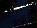 Heavy old trails drift behind trees in deep blue sky timelapse Cat.#V10733, 1920x1080 Motion JPEG (.AVI), 9 sec. at 30fps 