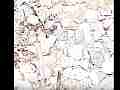 300fps Slow Motion Painted Lady Butterfly clips Cat.#V11023, 512x384 H.264/AVC1 (.MOV), 9 sec. at 30fps 