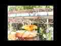 Gulf Fritillary Butterfly slow motion tries to lay egg on chainlink 300fps Cat.#V11138, 512x384 H.264/AVC1 (.MOV), 106 sec. at 30fps 
